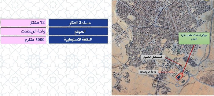 تأهيل ملعب كرة القدم