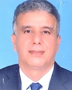 عضو المجلس