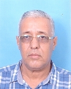 عضو المجلس