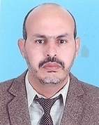 نائب الرئيس