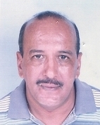 نائب الرئيس