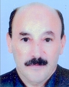 نائب الرئيس