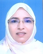 عضو المجلس