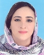 عضو المجلس