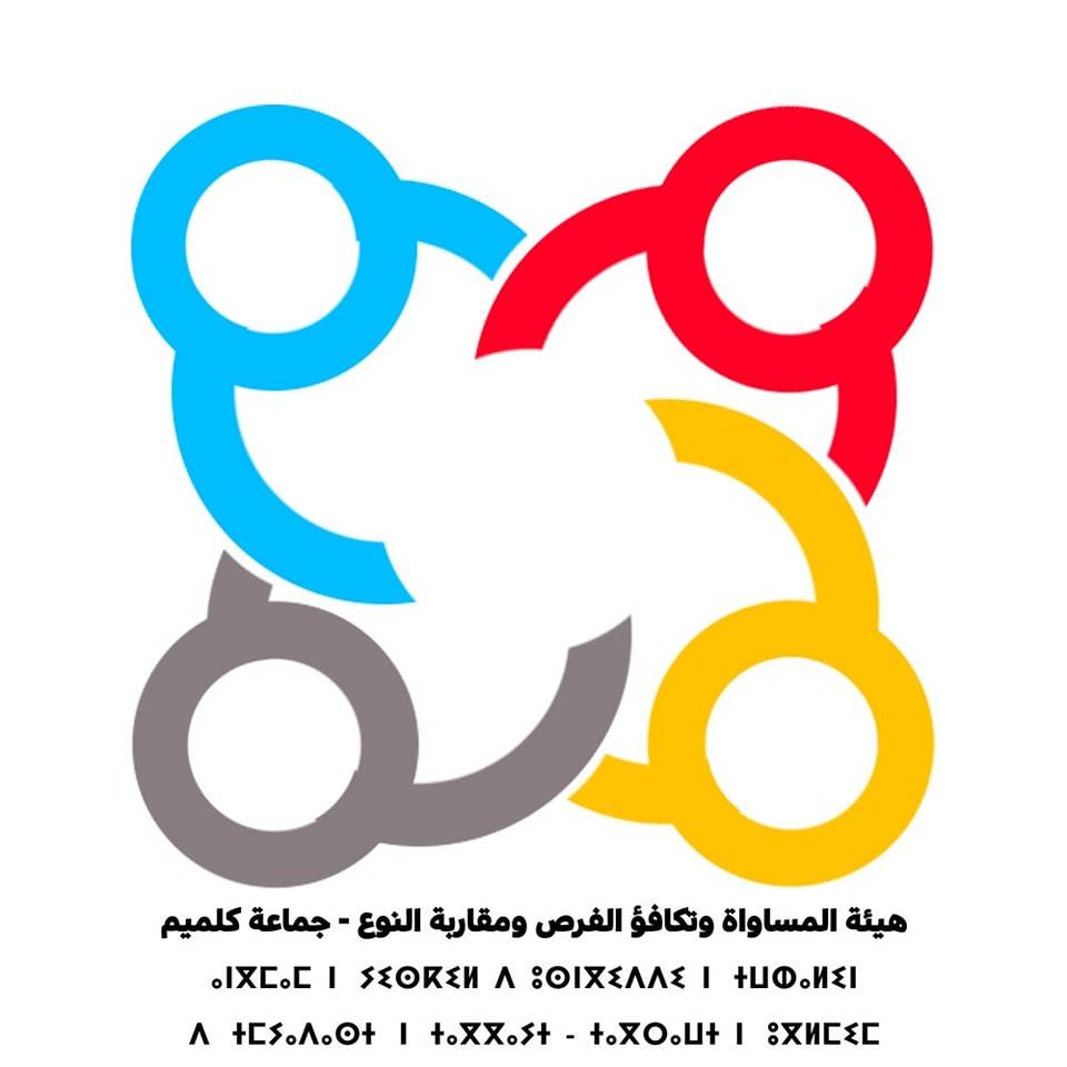 هيئة المساواة